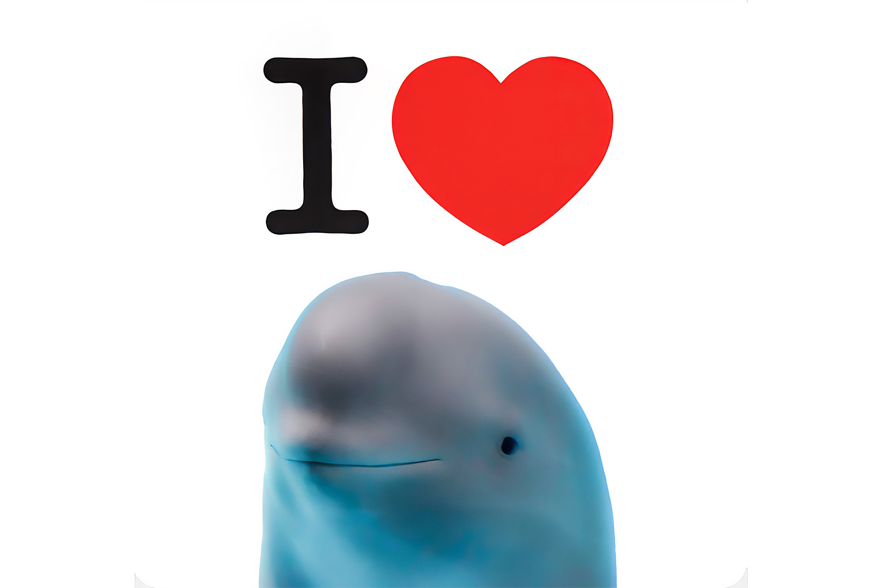 Hanbao — original viral meme photo