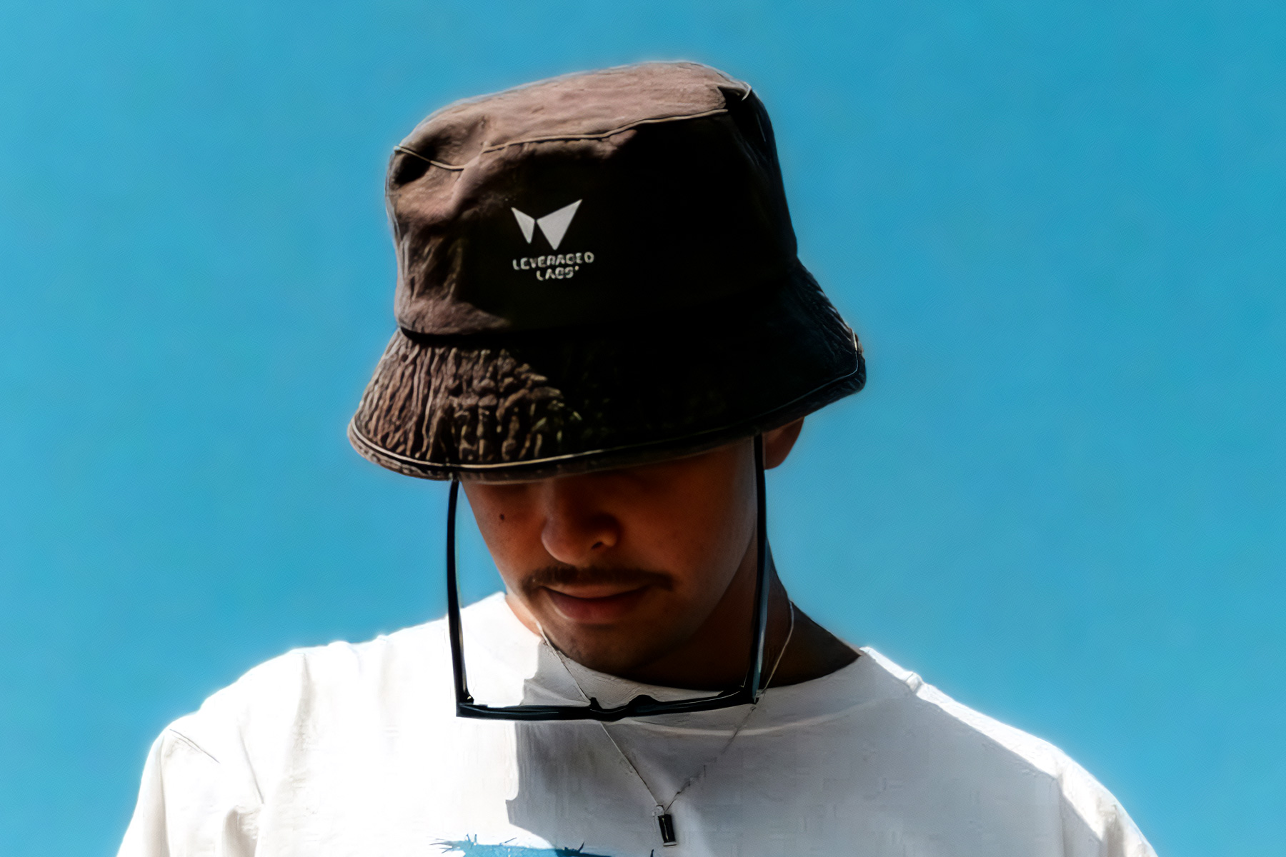 Leveraged Labs — brand application detail